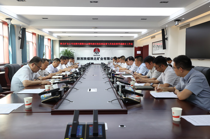 1753748898253757.jpeg 20250729公司巡察问题整改会_副本.jpg