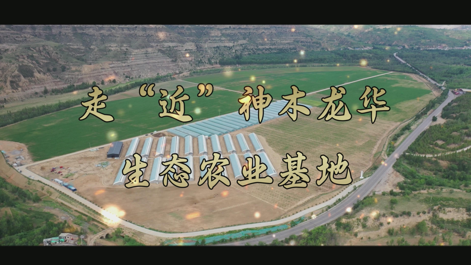 首页| 耀彩网官方网站入口