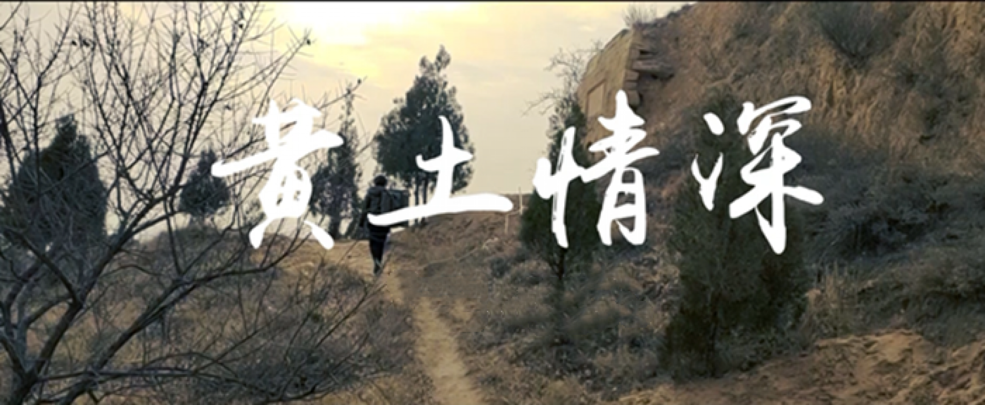 首页| 耀彩网官方网站入口