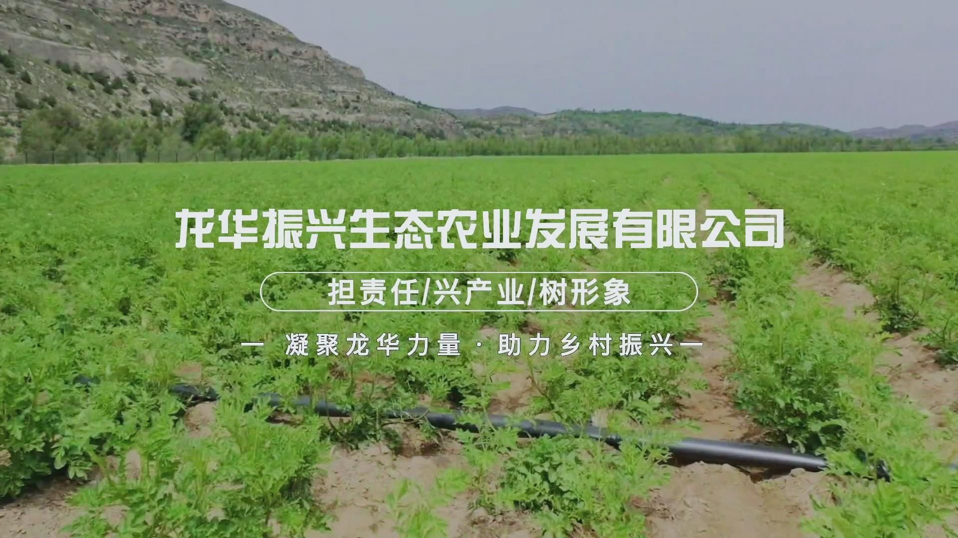 首页| 耀彩网官方网站入口